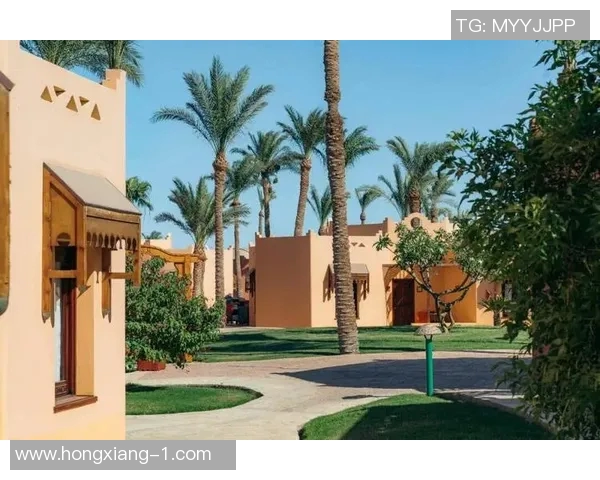 探索阿拉巴的神秘魅力与独特文化之旅，感受多元风情与自然美景的完美结合