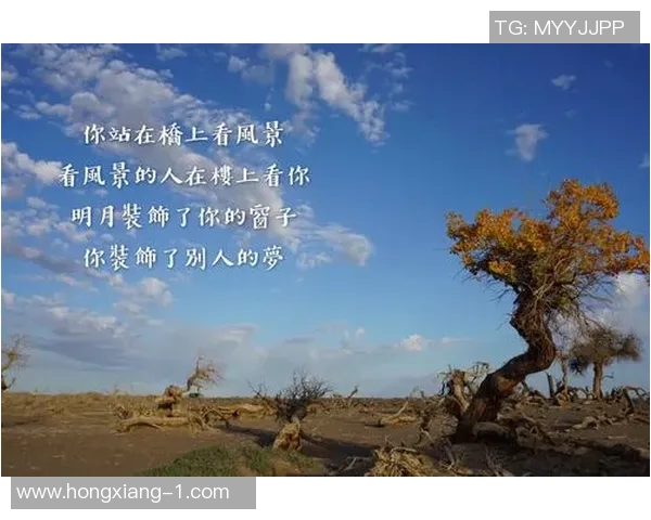 付豪：从平凡到卓越的奋斗之路与人生哲学的深刻思考