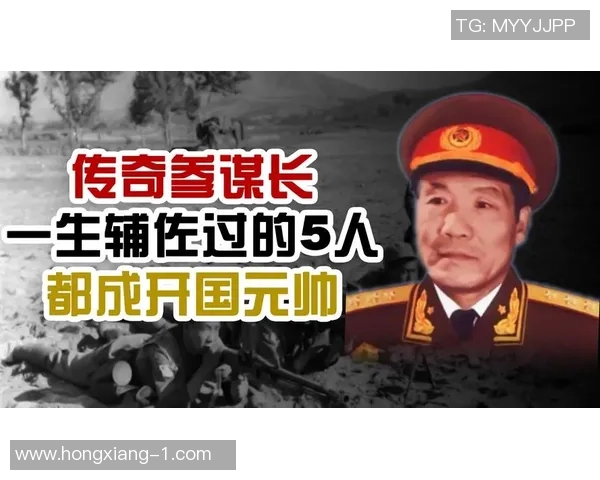 原帅的传奇人生与职场成长之路探秘