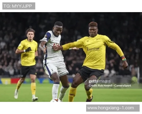 赫根对阵埃尔夫斯精彩直播全程回顾与赛后分析