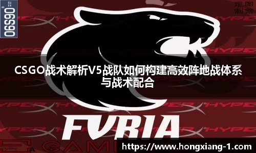 CSGO战术解析V5战队如何构建高效阵地战体系与战术配合